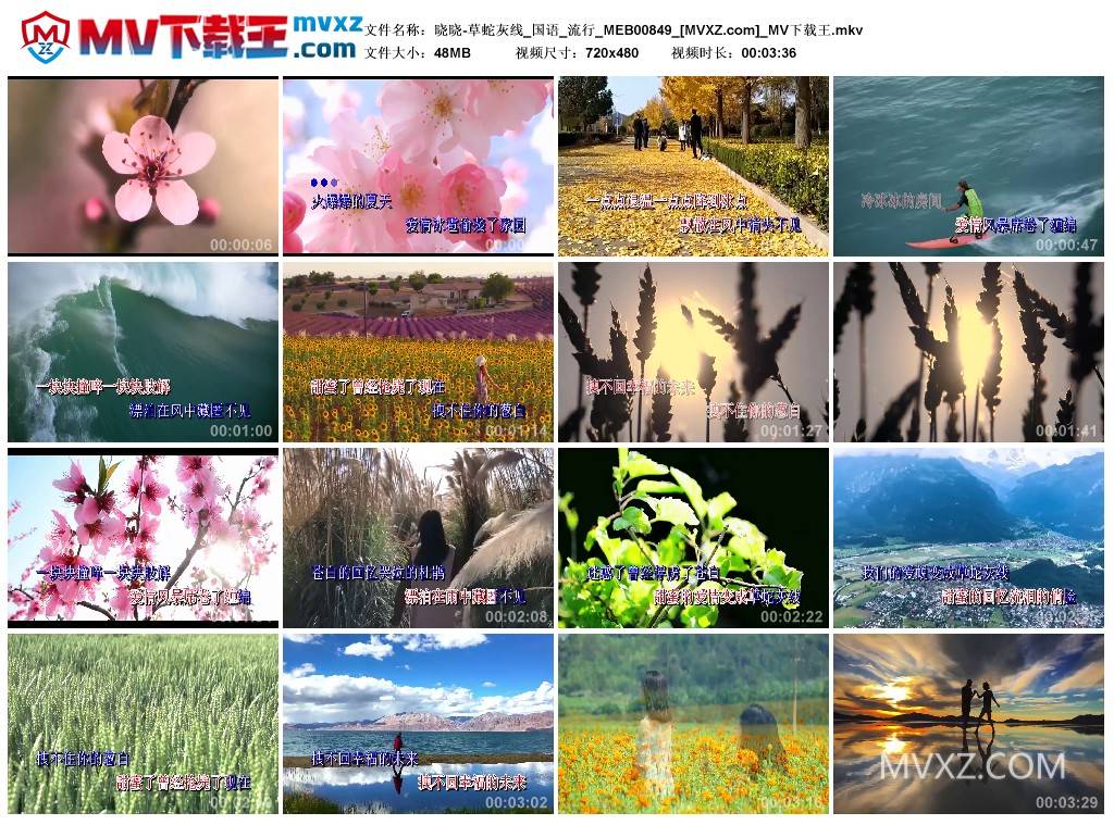 晓晓-草蛇灰线_国语_流行_MEB00849